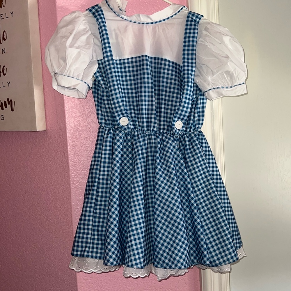 The Wizard Of Oz Dorothy Dress Rubies Costume Blue Check Crinoline Lined Medium